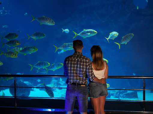 10 Best Rainy Day Activities in North Carolina!