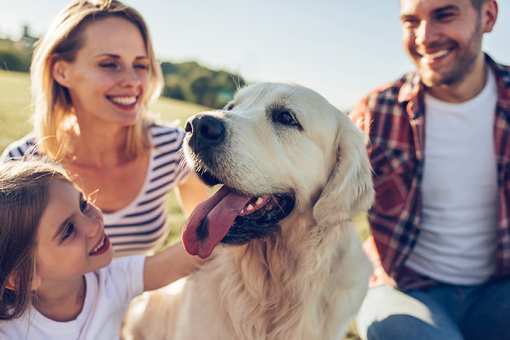 The 10 Best Dog Parks in South Carolina!