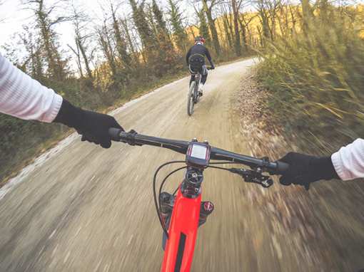 The 10 Best Mountain Biking Trails in South Carolina!